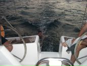 Фотография Гурского Алексея