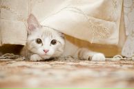 Фотография Гетмоновой Маруси