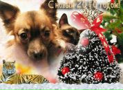 Фотография Копейкиной Нины