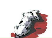 Фотография Тихоновой Алены