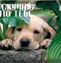 Люда Стаднічук фотография #40 (источник - https://vk.com/id71381138)
