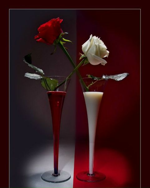 Cherry Lady фото №2