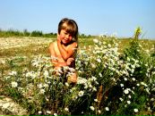 Наталічка Дахнюк фотография #3 (источник - https://vk.com/id109430425)