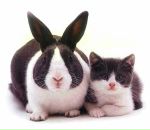 Фотография Афанасьевой Татьяны