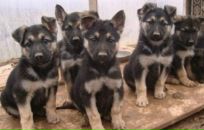 Фотография Город Вероники