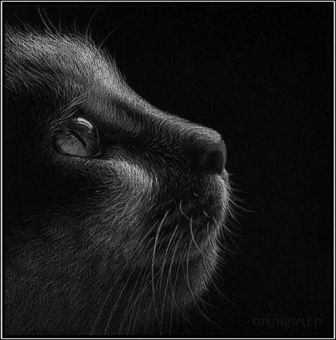 Александр Тиныч фотография #11