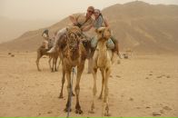 Дмитрий Минаков фотография #38 (источник - https://vk.com/id2820287)