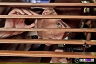 Фотография Некрасова Михаила