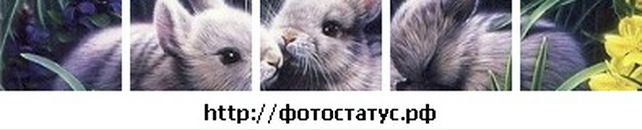 Ірина Горячек фотография #43 (источник - https://vk.com/id82329163)