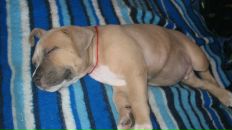 Серий Челядін фотография #40 (источник - https://vk.com/id7693308)