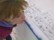 Фотография Бродовской Яны