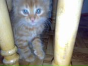 Алінка Дашкевич фотография #22 (источник - https://vk.com/id19480351)