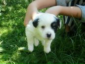 Соломія Юрченко фотография #26 (источник - https://vk.com/id80727518)