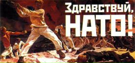 Фотография Толмачева Мишки