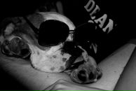 Фотография Санникова Ильи