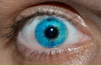 Фотография Белова Александра