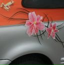 Фотография Абу Дмитрия