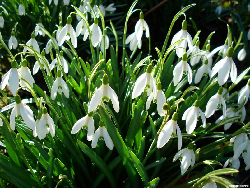 Серж @@@ фото №1