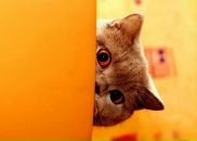 Фотография Пронько Романа