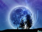 Фотография Robering Yana