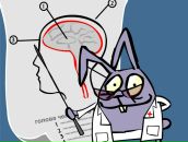 Фотография Лаврина Валентина