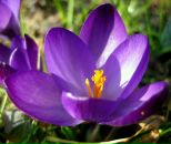 Надежда Різник--Кирилюк фотография #18 (источник - https://vk.com/id9960877)