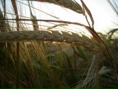 Вітя Расюн фотография #48 (источник - https://vk.com/id19268279)