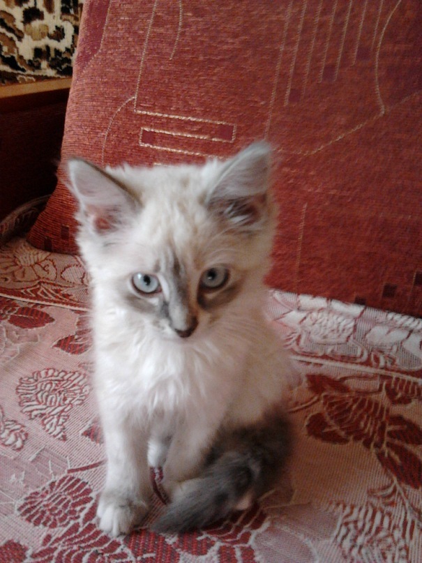 Сергей Орлов фотография #13