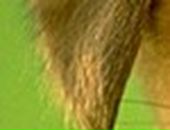 Аліна Третякович фотография #21 (источник - https://vk.com/id36342602)