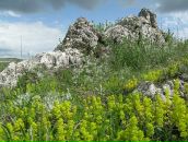 Юлія Родічева фотография #16 (источник - https://vk.com/id8162625)