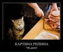Фотография Богачев Николай