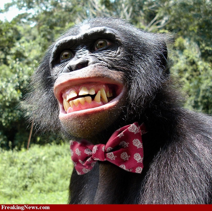 Антон Кулаков фотография #26