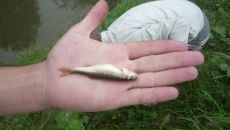 Андрій Гриник фотография #49 (источник - https://vk.com/id23274580)