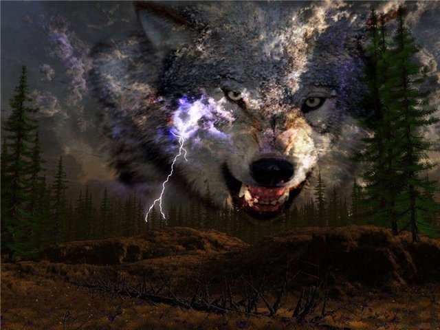 Дмитрий Недошковский фотография #8