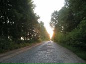 Олексій Бартосевич фотография #24 (источник - https://vk.com/id44964477)