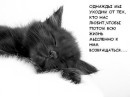 Фотография Солощенко Юлии