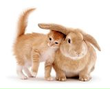 Іра Брежнєва фотография #41 (источник - https://vk.com/id19085537)