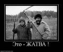 Сіроманець Патріот фотография #44 (источник - https://vk.com/id17582037)