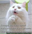 Свєта Зіняк фотография #21 (источник - https://vk.com/id139651058)