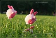 Фотография Колчина Макса