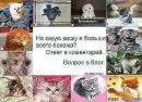 Вікуся Барнич фотография #8 (источник - https://vk.com/id71839158)