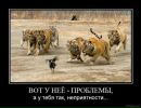 Саша Іванущик фотография #10 (источник - https://vk.com/id133212557)