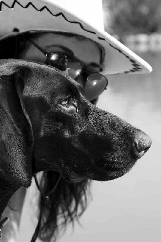 Ренатта Карпенко фотография #8