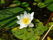 Фотография Антроповой Екатерины