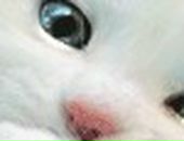 Лєра Щербина фотография #22 (источник - https://vk.com/id68521705)