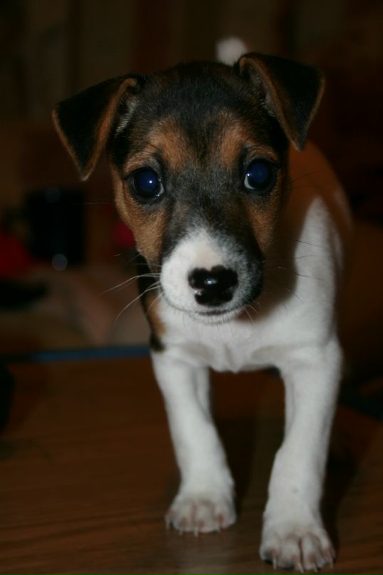 Сергей Шибакин фотография #48