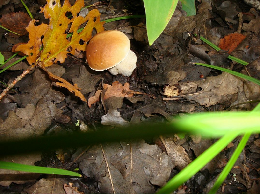 Эмма Кубло фотография #50