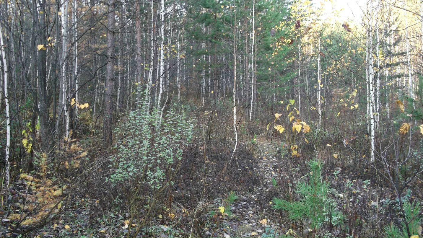 Александр Бабенко фотография #50