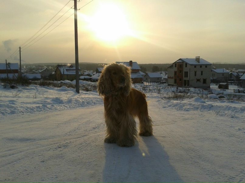 Денис Геращенко фотография #29