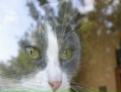 Фотография Усачевой Ольги